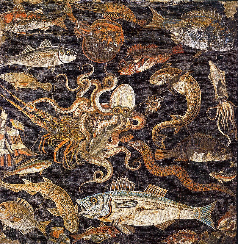 Marine life from Pompeii. Naples Archaeological Museum.