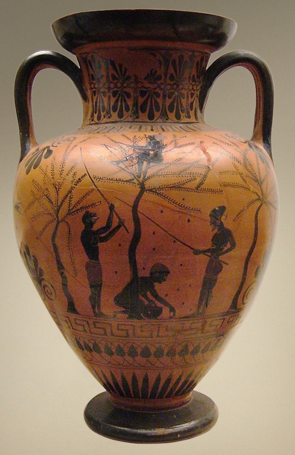 Olive harvest, black-figure neck amphora c. 520 BC. British Museum.