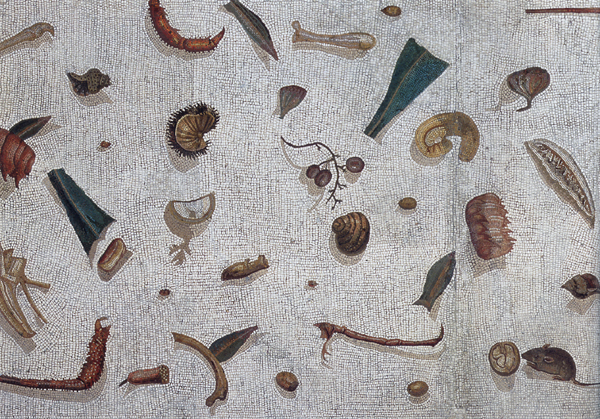 Unswept floor. Vatincan Museum.